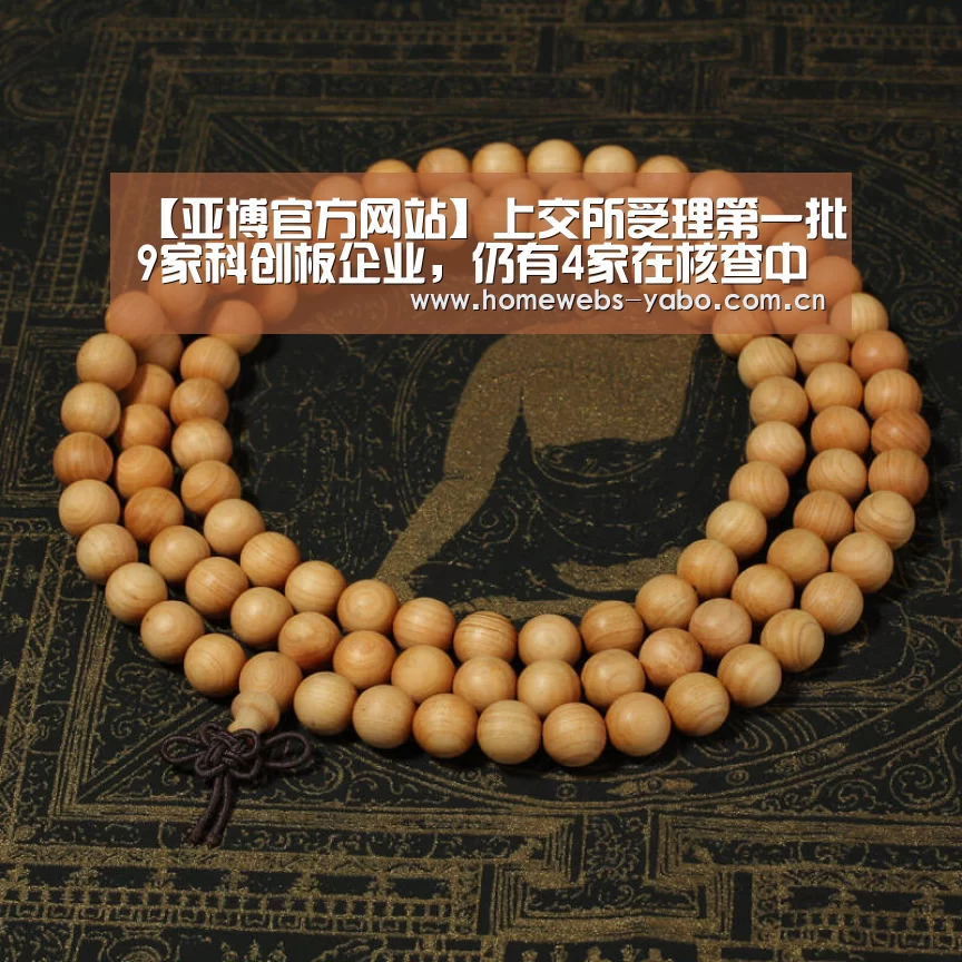 【亚博官方网站】上交所受理第一批9家科创板企业,仍有4家在核查中(图1) 亚博官方网站
