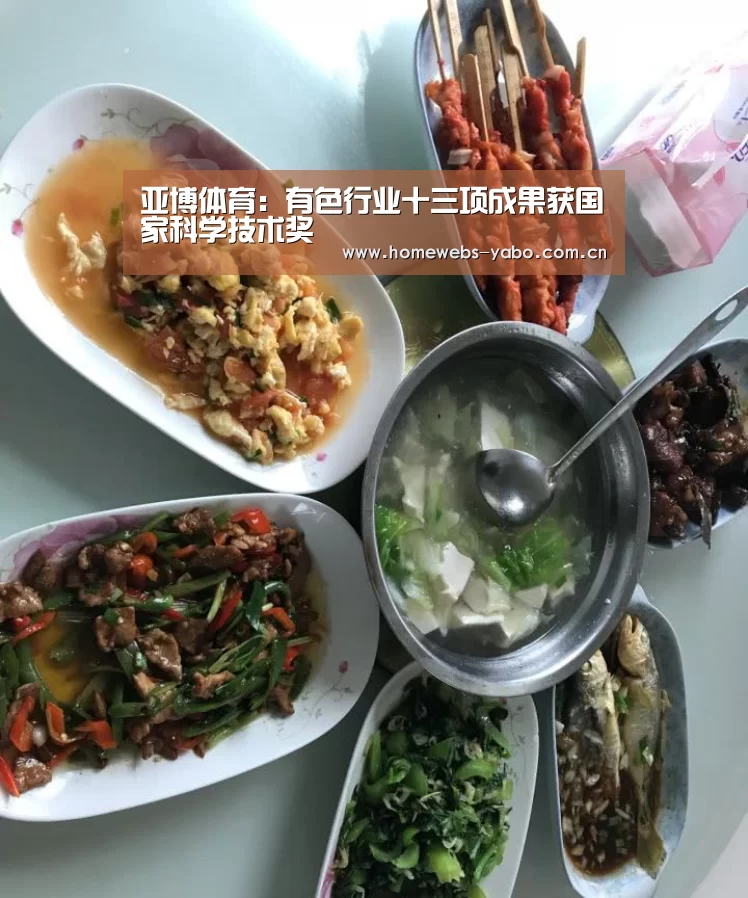 亚博体育:有色行业十三项成果获国家科学技术奖(图2) 亚博体育