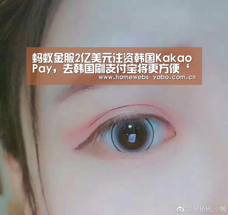 蚂蚁金服2亿美元注资韩国KakaoPay,去韩国刷支付宝将更方便‘亚博官方网站’(图3) 亚博